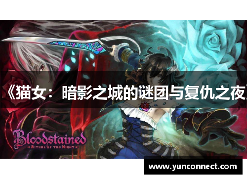 《猫女：暗影之城的谜团与复仇之夜》